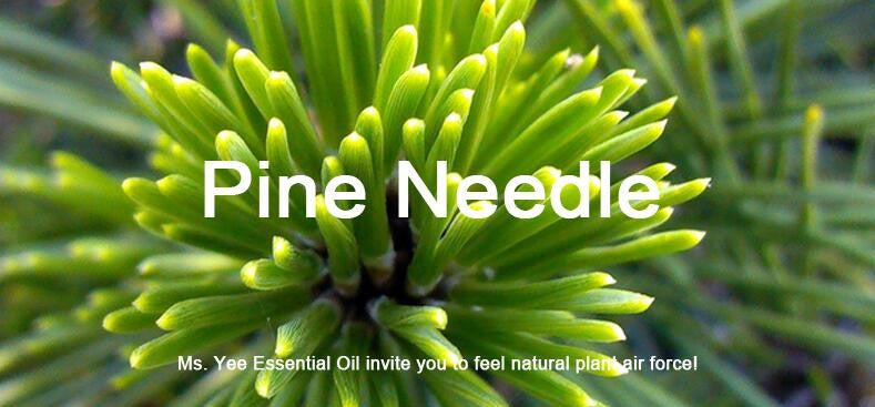 Ms. Yee 10ml Pine Needle Essential Oil